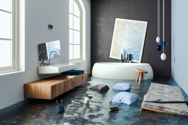 Best Professional water damage repair  in Fort Riley, KS