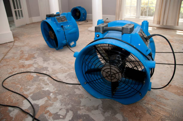 Best 24/7 water damage repair  in Fort Riley, KS
