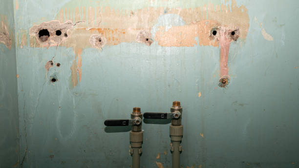 Best Water damage contractors near me  in Fort Riley, KS