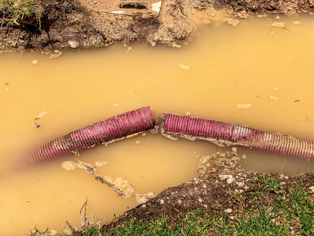 Best 24-hour water damage restoration  in Fort Riley, KS