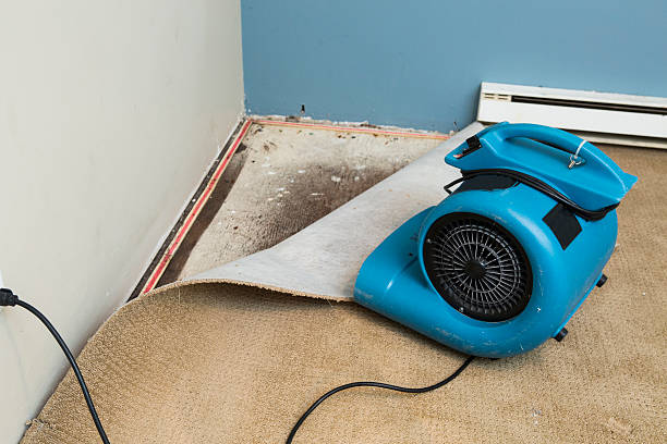  Fort Riley, KS Water damage restoration Pros